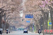 景德镇共建“花园城市” 北京这场议政会“百花齐放”