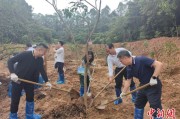 景德镇广州已打造首批32处“绿美宗教活动场所”