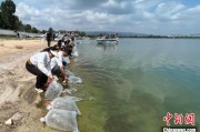 景德镇云南江川举行增殖放流活动 逾54万尾鱼游入星云湖